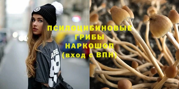 mdpv Вяземский