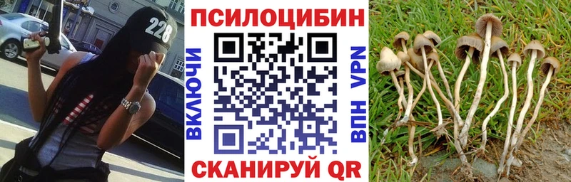 Псилоцибиновые грибы ЛСД  Купить где  Кировск 
