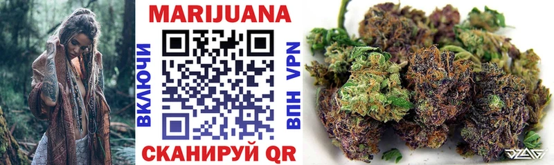 Купить где  Кировск  Канабис SATIVA & INDICA 